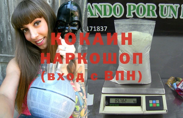 индика Белокуриха