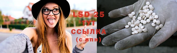 индика Белокуриха