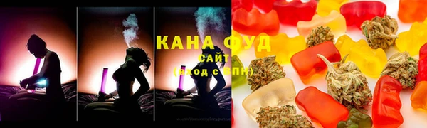 индика Белокуриха