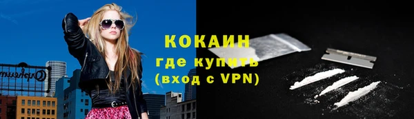 индика Белокуриха