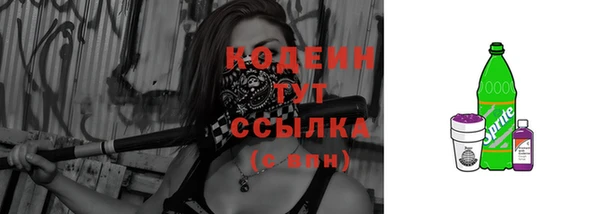 индика Белокуриха