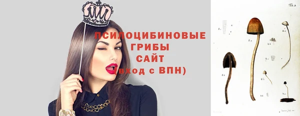индика Белокуриха