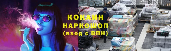 индика Белокуриха
