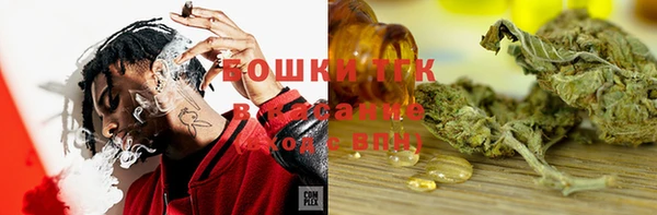 индика Белокуриха