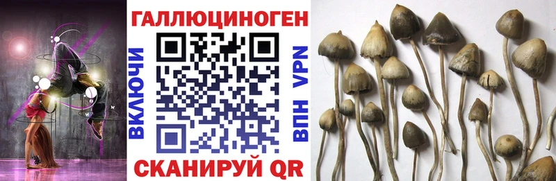 Псилоцибиновые грибы MAGIC MUSHROOMS  Кремёнки 